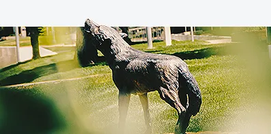 wolf statue on CSU Pueblo campus